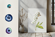 Watercolor Blueberry Life Cycle Set, an Education Illustration by Tati Bordiu (Thumbnail 3 of 4)