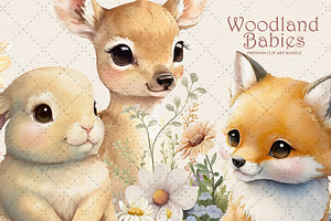 Woodland Animals