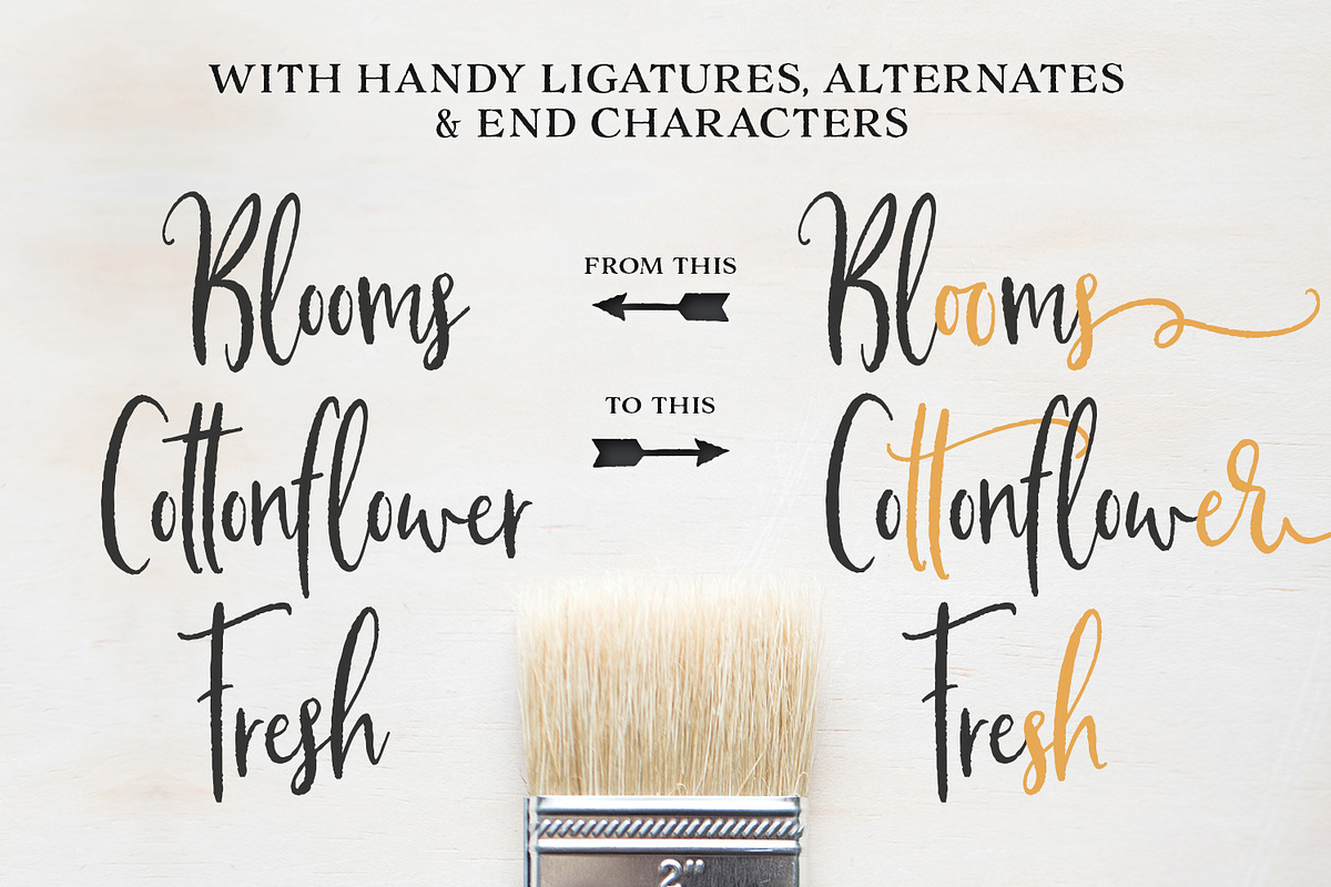 The Farmhouse Collection | Bundle preview 8