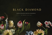 Black Diamond - Digital Graphics, an Illustration by Create The Cut (Thumbnail 5 of 14)