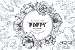 Vector Poppy Flowers Set