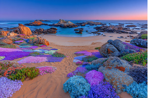 Located in Africa, the Western Cape, a Nature Photo by ZinetroN