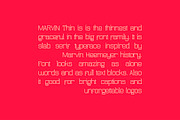 Marvin Thin, a Slab Serif Font by NREY (Thumbnail 3 of 7)