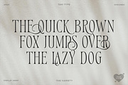 TAN - Variety, a Serif Font by TanType (Thumbnail 2 of 26)