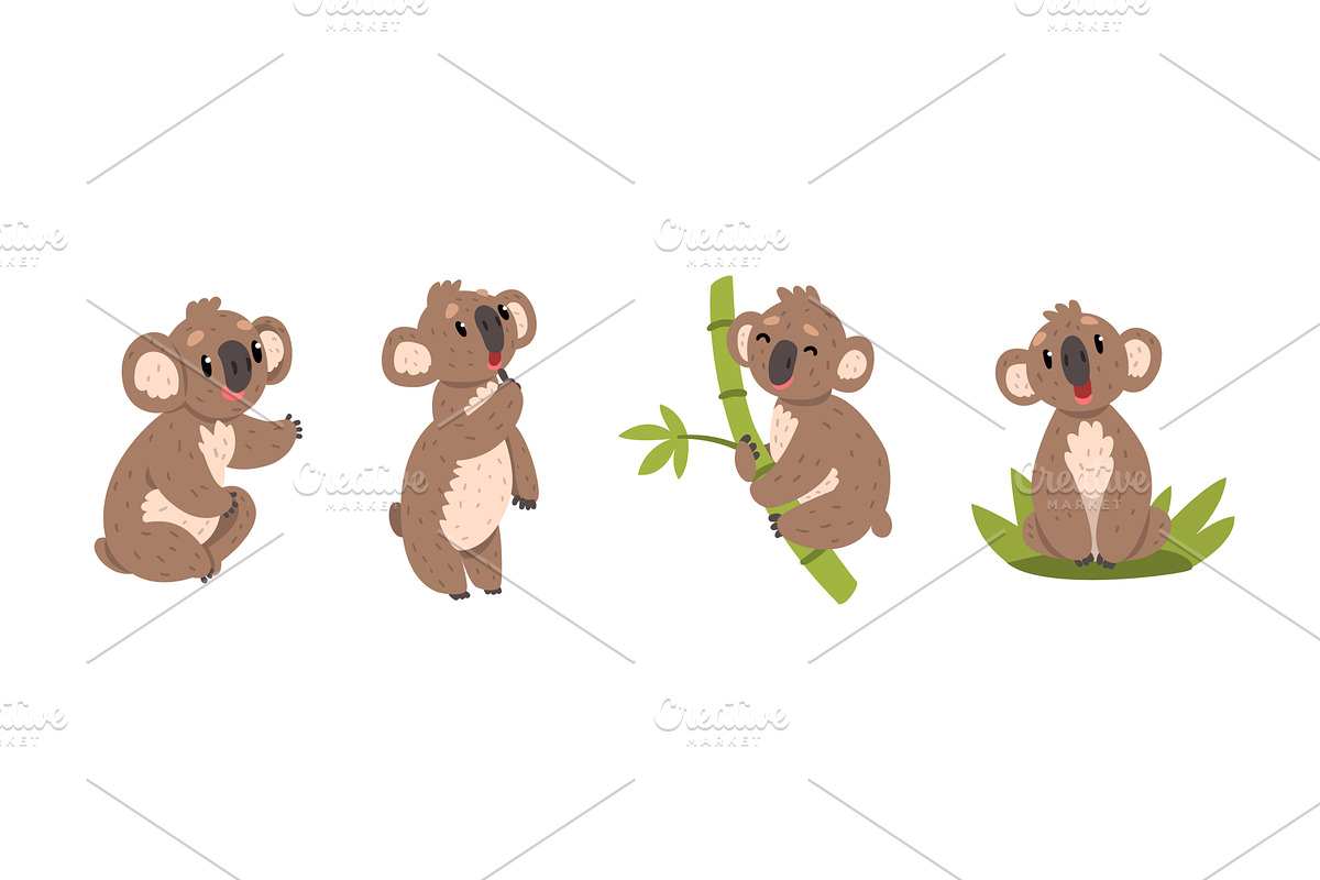 Funny Koala Animal with Cute Snout, an Animal Illustration by TopVectors