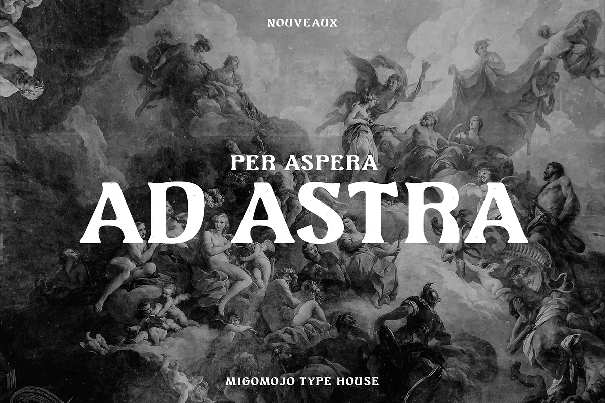 Nouveaux Font Family, a Serif Font by Migomojo Type House (Photo 2 of 12)