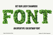 Shamrock, a Symbol Font by Loudoun Design Co. (Thumbnail 1 of 6)