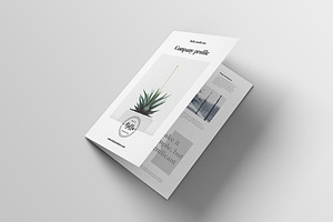 Agency Profile Brochure