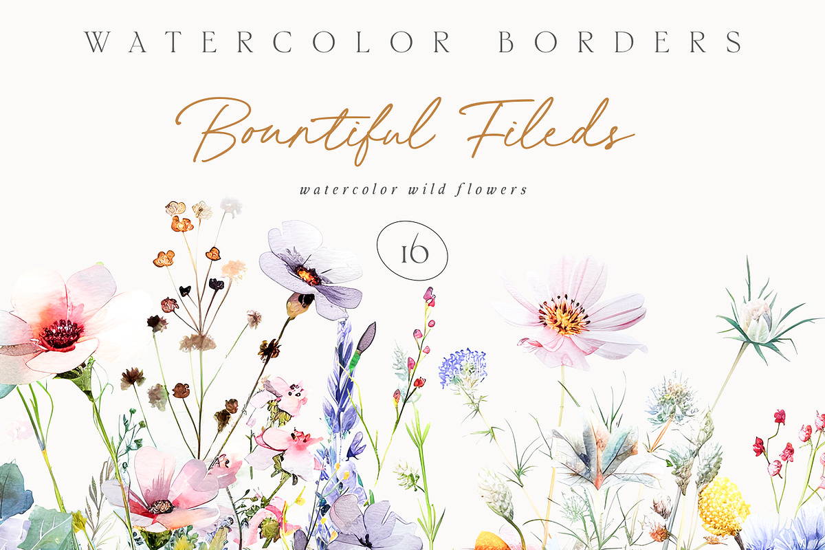New! Wild Flowers Edition, a Seasonal Illustration by Isabelle Salem (Photo 22 of 155)