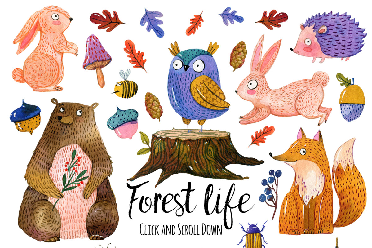 Cute forest  animals set, an Animal Illustration by yana.fefelova (Photo 1 of 5)