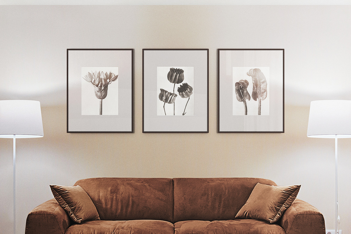 Frame Mockup Template Bundle Kit, a Product Mockup by FoundImages (Photo 21 of 27)