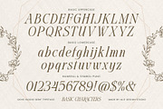 Dove and Goose Typeface, a Serif Font by alit design (Thumbnail 6 of 20)