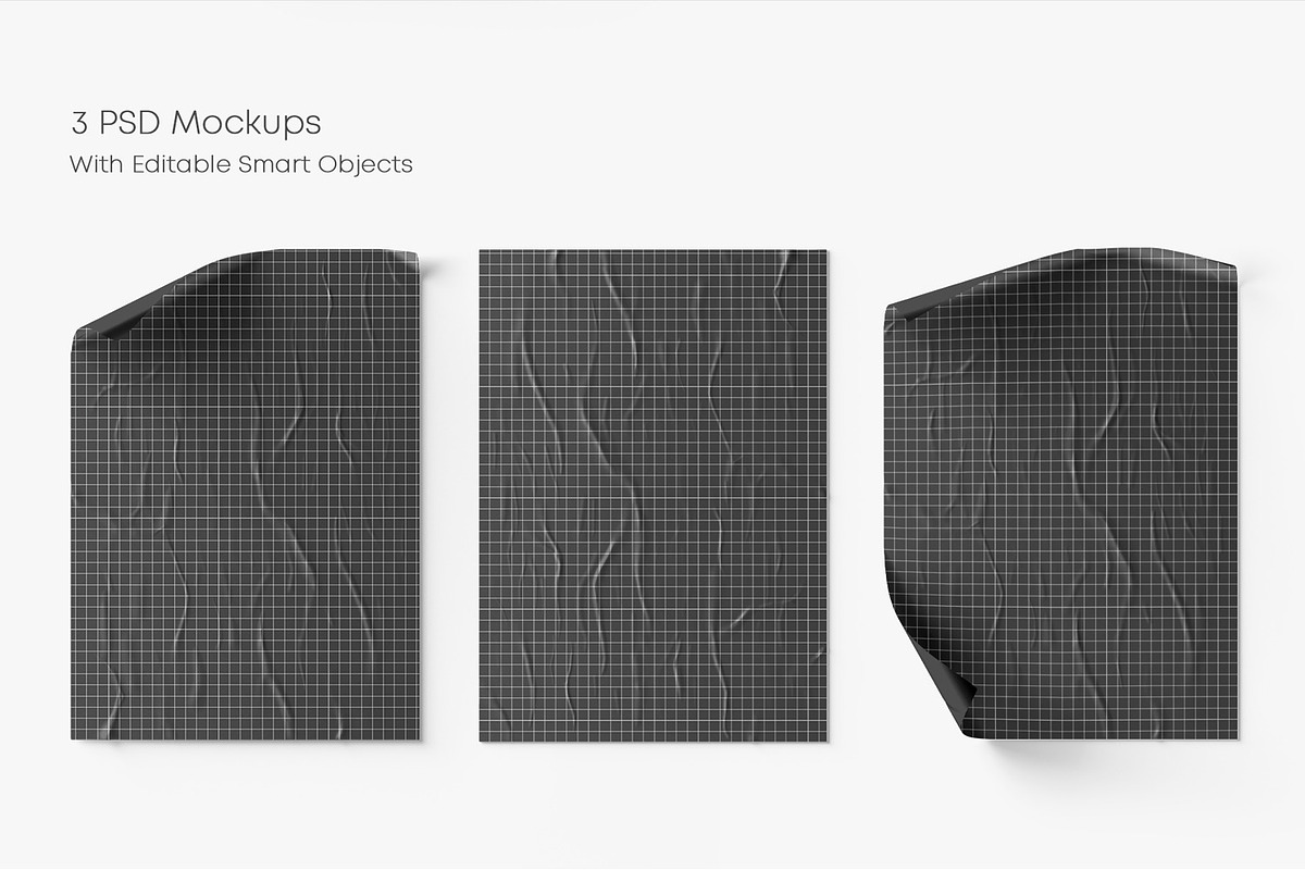 Crumpled Poster Mockup Set, a Print Template by Graphic Bird (Photo 3 of 5)