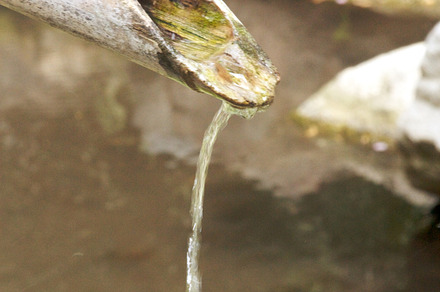Zen stock photo containing water and log