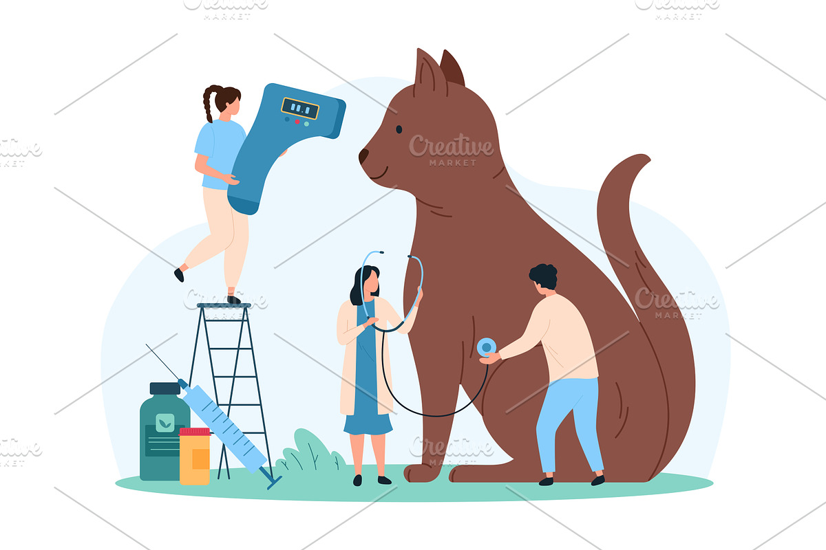 Veterinarian examination vet design, an Object Illustration by Flashvector