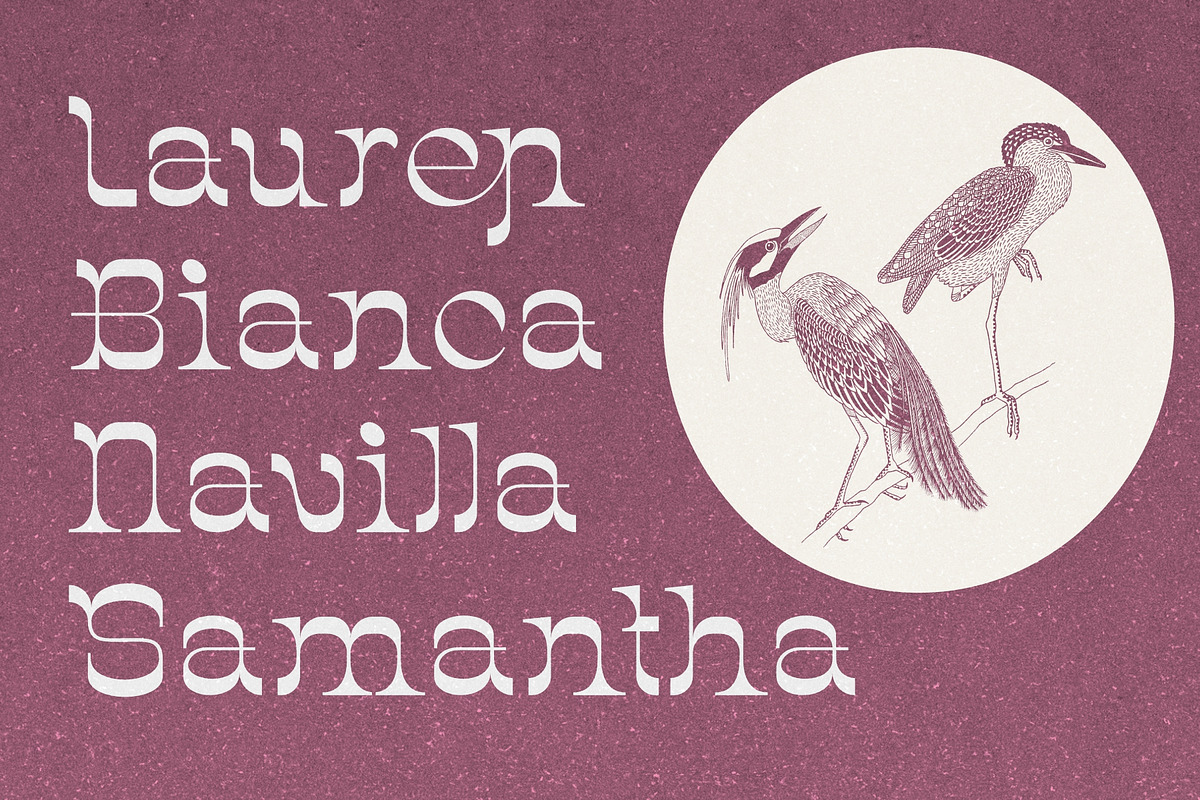 Chenta | Serif Display Font, a Serif Font by Eotype Studio (Photo 8 of 9)