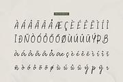 Slushy Nostalgic Vintage Handwritten, a Script Font by Denustudios (Thumbnail 12 of 12)