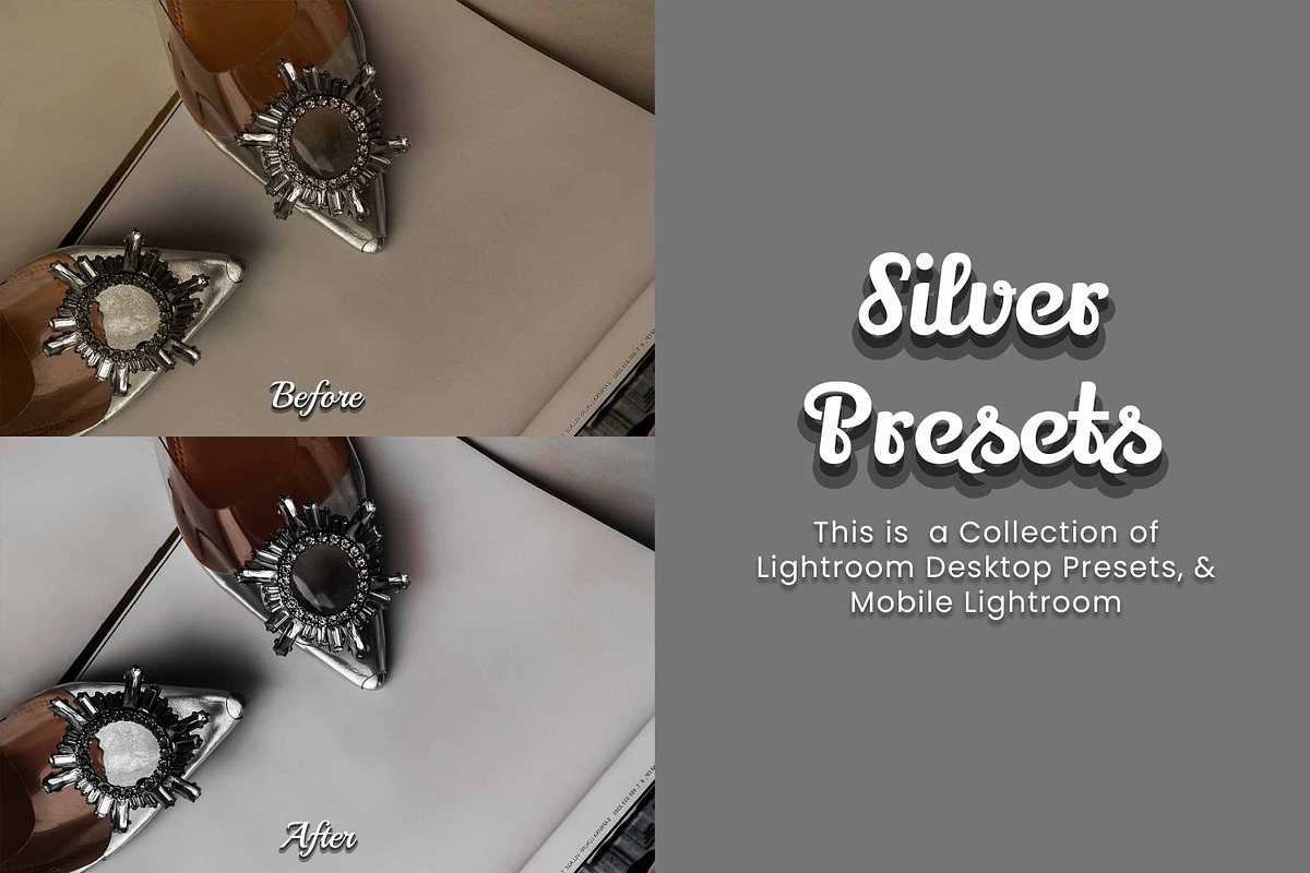 30 Silver Lightroom Collection, a Preset Add-On by 3Motional (Photo 3 of 11)
