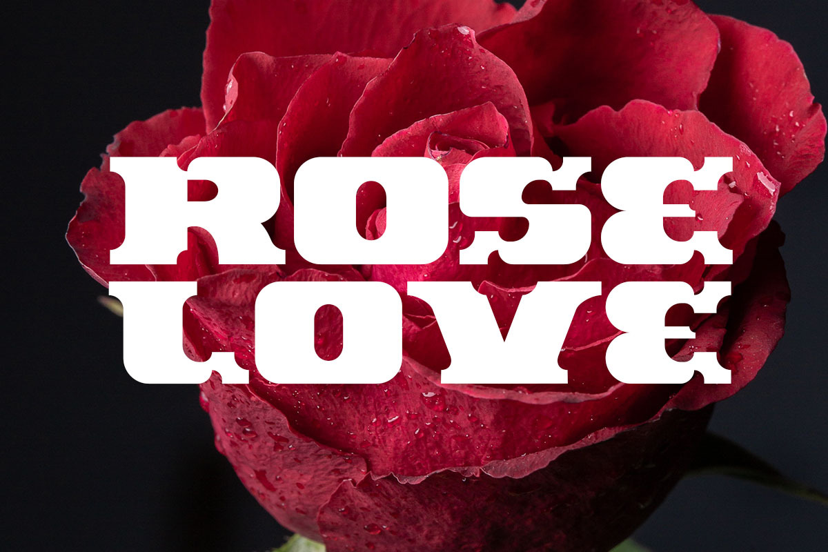 Brokoly Display Font, a Script Font by IHDSTD (Photo 3 of 6)