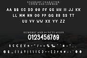 Sticky Price, a Script Font by FreshTypeINK (Thumbnail 6 of 8)