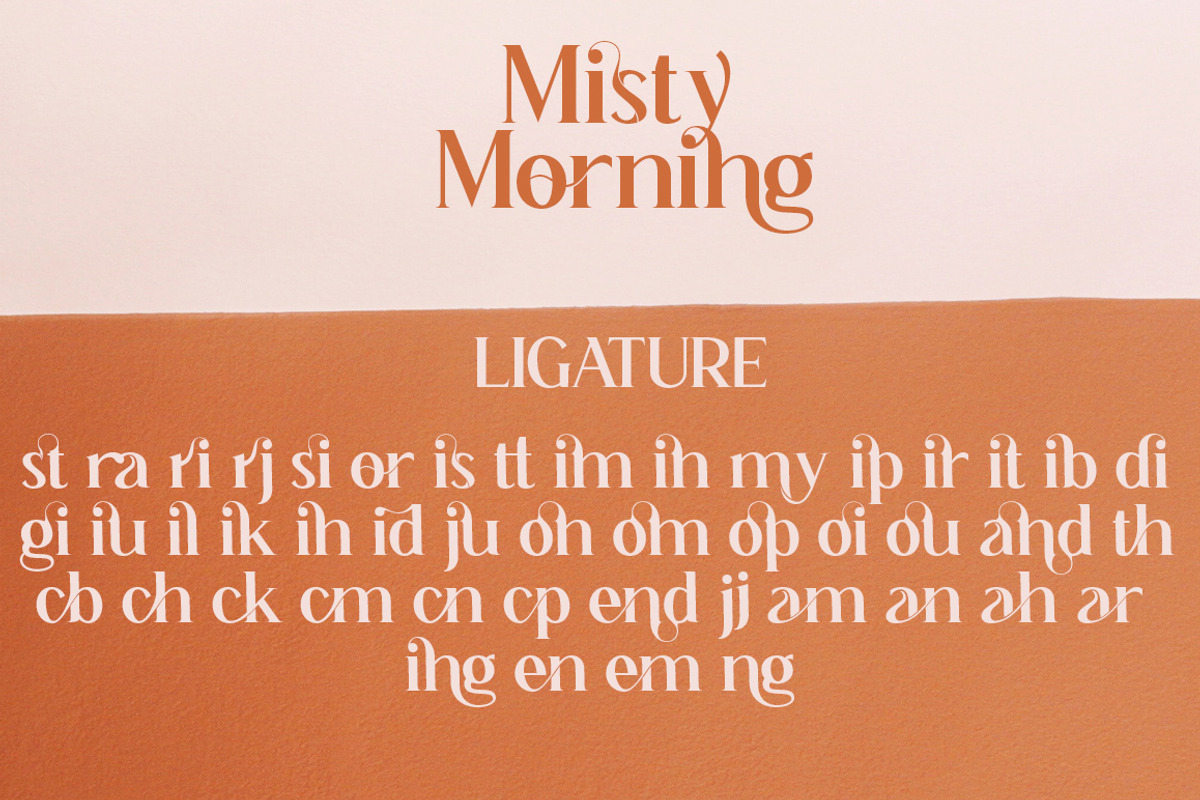 Misty Morning, a Serif Font by Funtype (Photo 14 of 15)