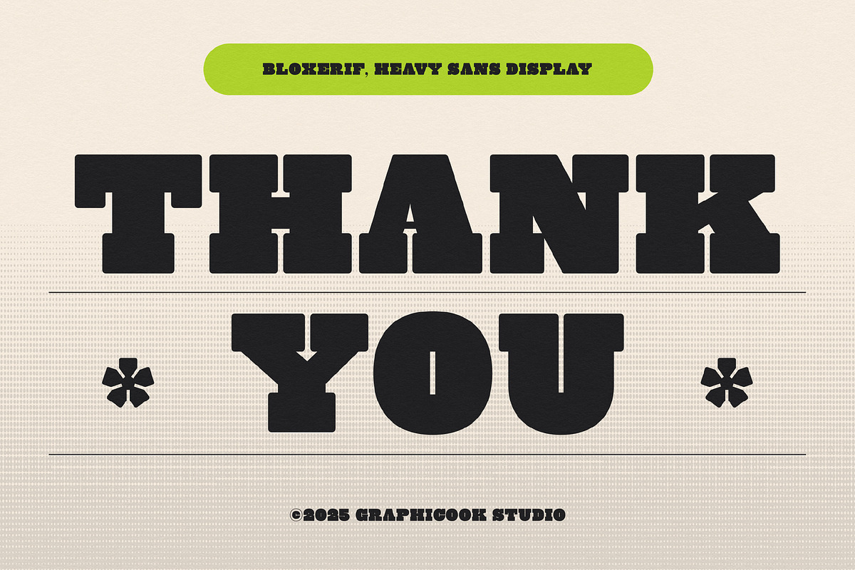 Bloxerif, a Serif Font by graphicook (Photo 10 of 10)