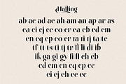 Okican - Elegant Serif, a Serif Font by Luna Shop (Thumbnail 2 of 9)