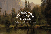 MC Sequoia - Font Family, a Font by McLetters (Thumbnail 1 of 10)