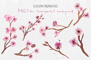 Cherry Blossoms- Watercolor clipart, an Illustration by MaraquelaStudio (Thumbnail 3 of 7)