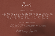 Brisely, a Script Font by Suby Studio (Thumbnail 7 of 7)