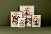 Insects | Vintage posters, a Graphic by katieromanoff_art (Thumbnail 3 of 12)