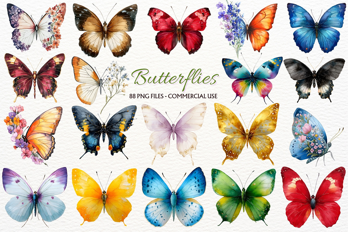 Floral Butterfly Clipart Summer PNG, an Animal Illustration by SugarCloudStudioArt (Photo 1 of 8)