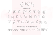 Just Sunday - Family Modern Script, a Script Font by Dharmas Foundry (Thumbnail 13 of 16)