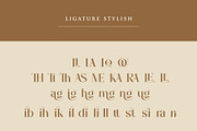 The Glamoure Serif Font, a Serif Font by Idea Studio (Thumbnail 11 of 12)