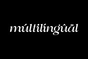 Astani Display, a Serif Font by InkwellTypeCo (Thumbnail 17 of 17)