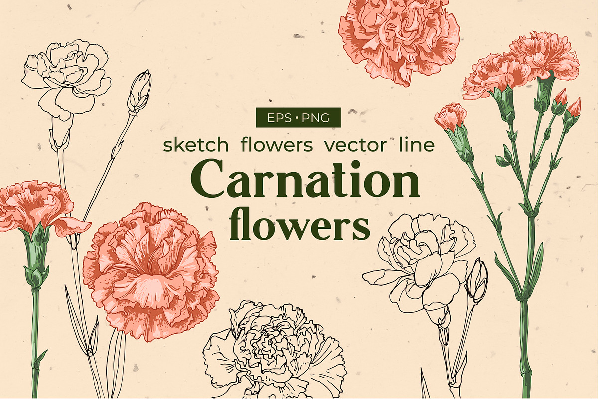 GRAND BUNDLE FLOWERS vector sets 70%, an Object Graphic by irina.vaneeva (Photo 4 of 7)
