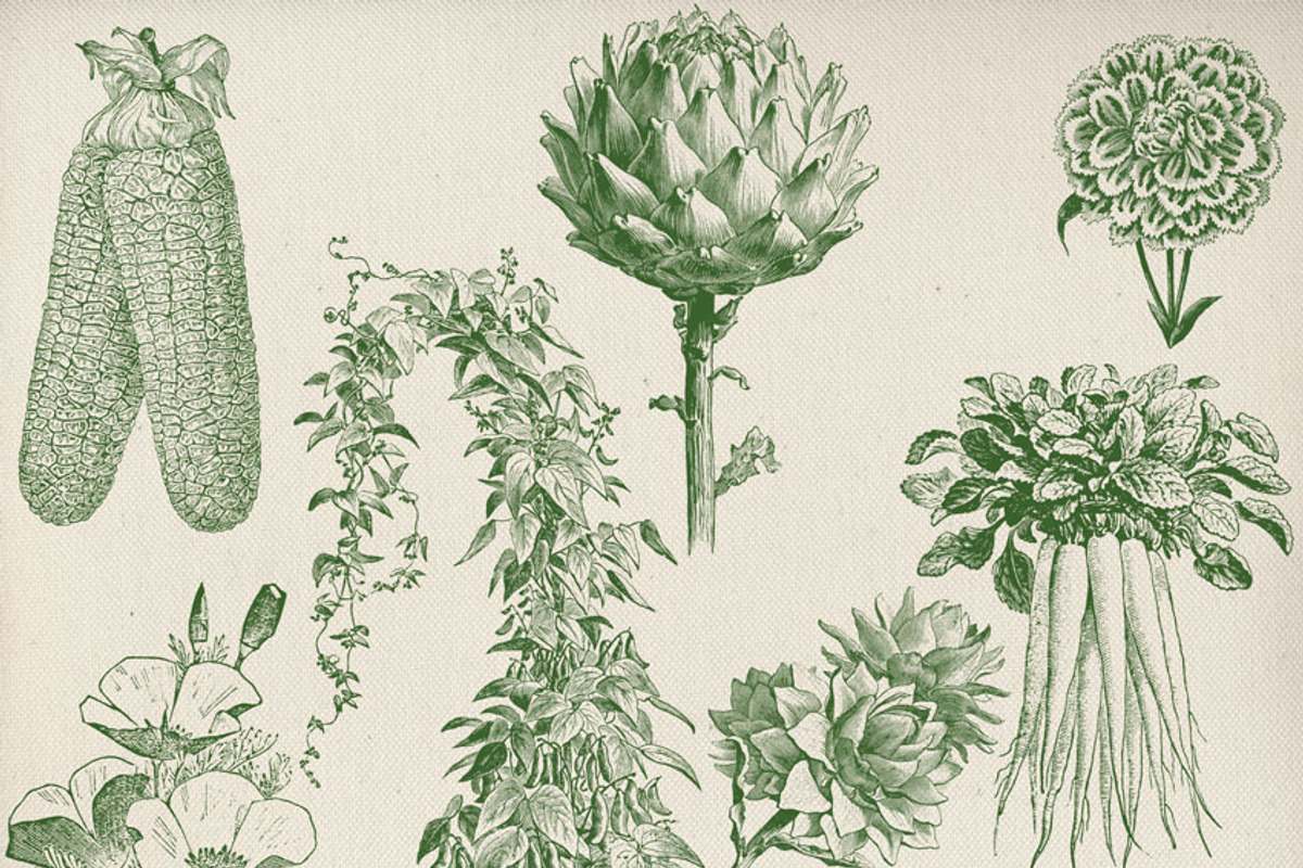 Vintage Garden & Seeds Brushes Set preview 3