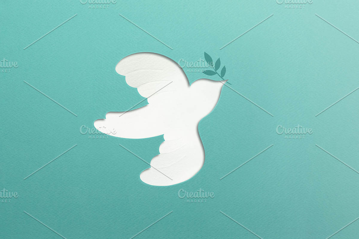 Peace and New Beginnings of Hope. A white dove Flying with an Ol, a Photo by salmon.black (Photo 1 of 2)