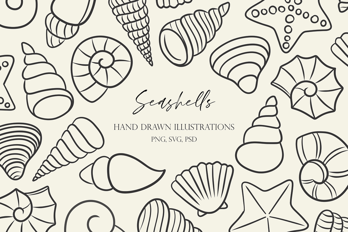 Hand Drawn Seashell Illustrations, an Illustration by HonestiesPrintS (Photo 1 of 2)