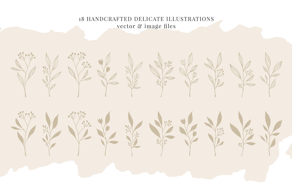 Florals & You Botanical Drawings, a Decorative Illustration by Pigment Café (Photo 2 of 5)