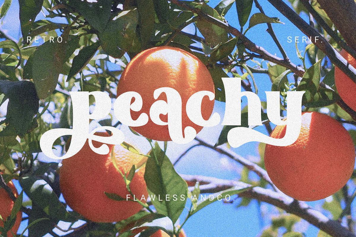 Boscho, a Symbol Font by Flawless And Co (Photo 7 of 9)