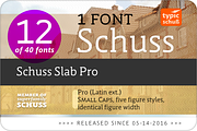 SchussSlabPro No.12 (1 Font), a Slab Serif Font by typic schuss (Thumbnail 3 of 7)