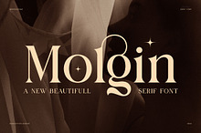 Molgin Elegant Serif Font
