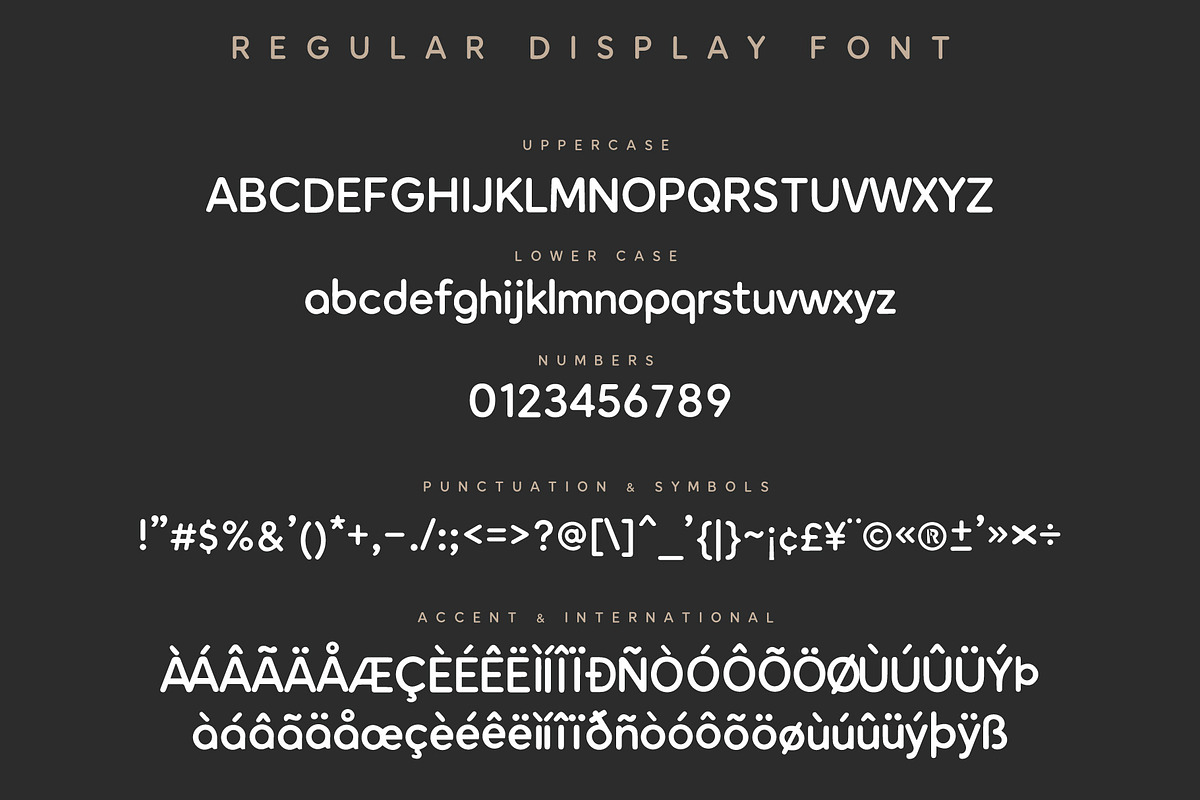 SLEEKO - Regular & Bold, a Sans Serif Font by HypeWorksCo (Photo 10 of 11)