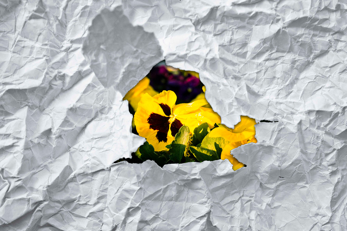 Ripped Paper Bundle, a Background Graphic by NiccerPhotography (Photo 4 of 5)