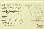 Everista Classy Script Font, a Script Font by Letterhanna Studio (Thumbnail 9 of 10)