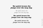 Ronald Gunfire Serif Font Family, a Slab Serif Font by Sentavio (Thumbnail 5 of 12)