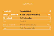 Gravontis, a Sans Serif Font by Propertype (Thumbnail 16 of 19)