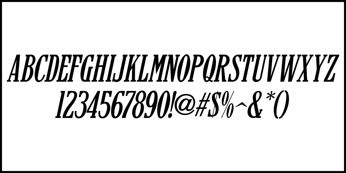 Newspaper Publisher JNL, a Serif Font by Jeff Levine Fonts (Photo 5 of 5)