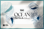 Ocean Shells Illustration, an Object Illustration by KetteCreate (Thumbnail 1 of 17)